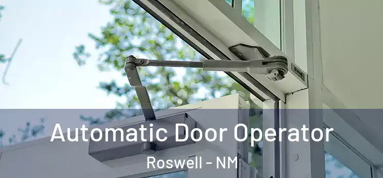 Automatic Door Operator Roswell - NM