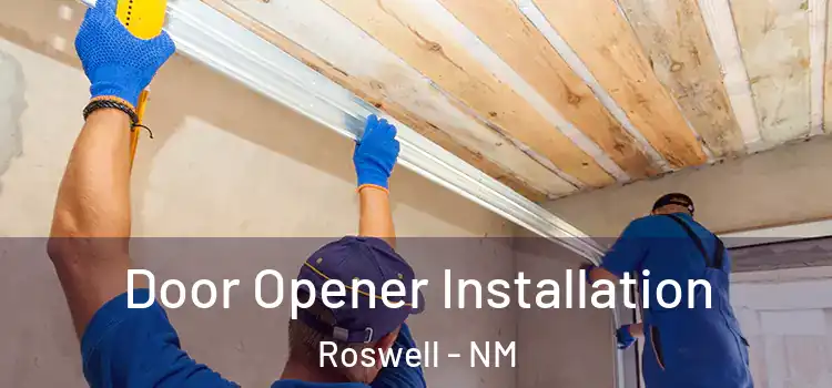 Door Opener Installation Roswell - NM