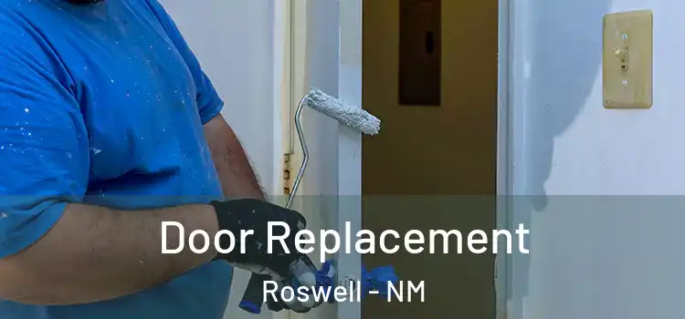  Door Replacement Roswell - NM