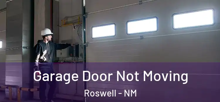  Garage Door Not Moving Roswell - NM