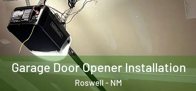  Garage Door Opener Installation Roswell - NM
