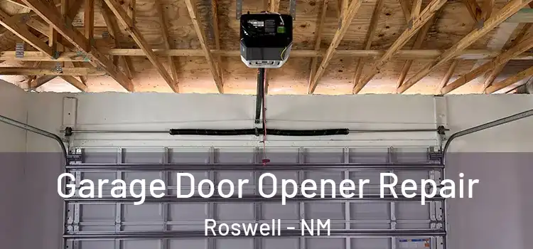 Garage Door Opener Repair Roswell - NM