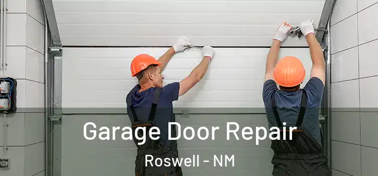  Garage Door Repair Roswell - NM