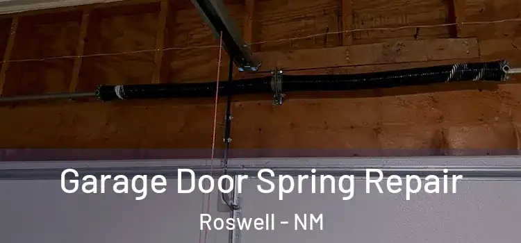  Garage Door Spring Repair Roswell - NM