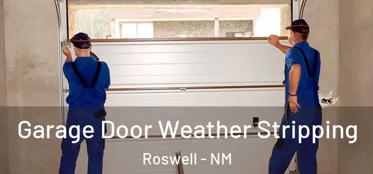  Garage Door Weather Stripping Roswell - NM