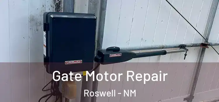 Gate Motor Repair Roswell - NM