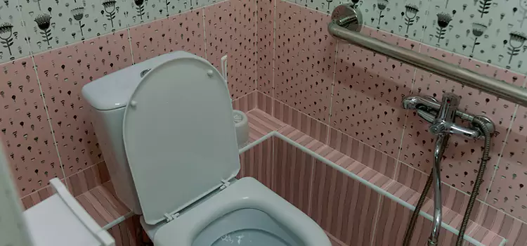 Meeting Diverse Needs With Accessible Restroom Solutions in Roswell, NM