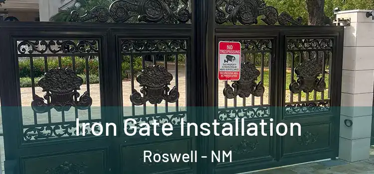 Iron Gate Installation Roswell - NM