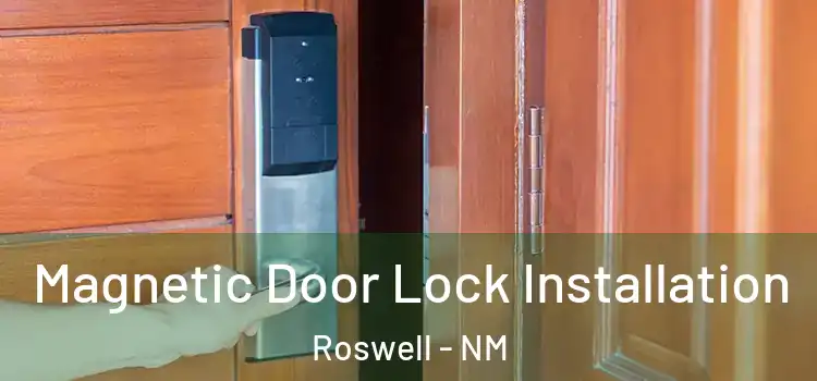  Magnetic Door Lock Installation Roswell - NM
