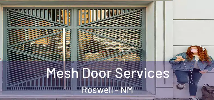 Mesh Door Services Roswell - NM