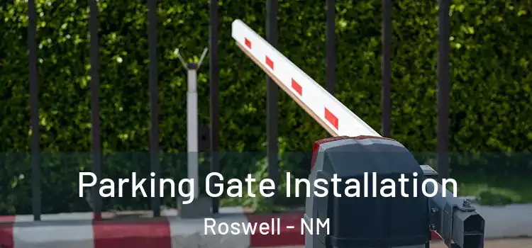 Parking Gate Installation Roswell - NM