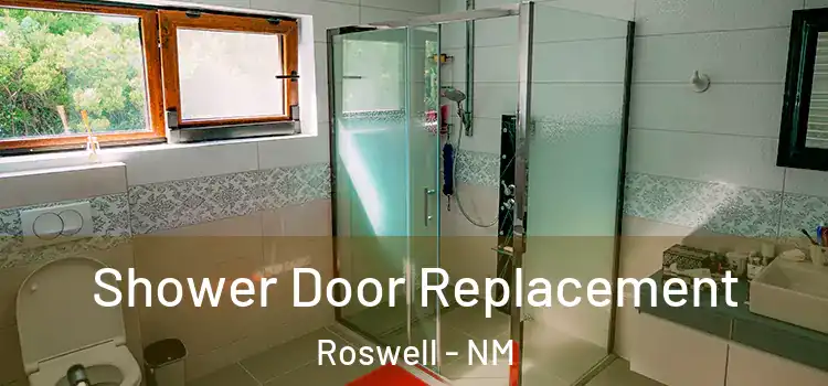Shower Door Replacement Roswell - NM