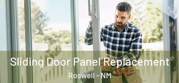  Sliding Door Panel Replacement Roswell - NM