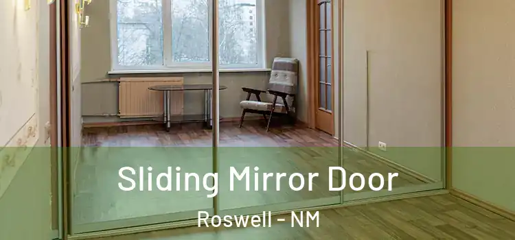  Sliding Mirror Door Roswell - NM