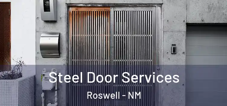 Steel Door Services Roswell - NM